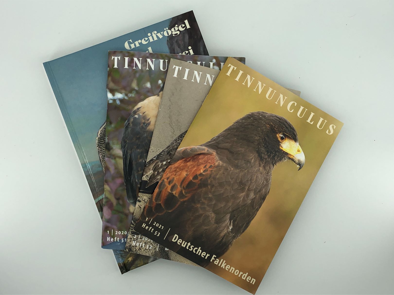 DFO-Jahrbücher, DFO-Tinnunculus