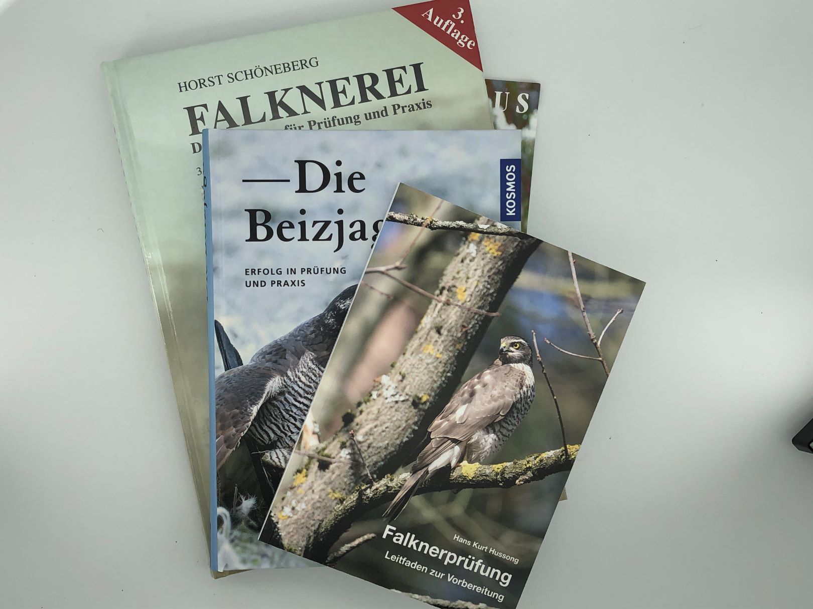Falknerprüfung, Ausbildung und Haltung