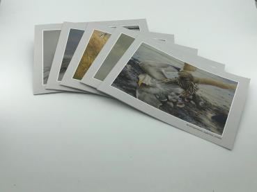 Karten Set Bernd Pöppelmann 2019