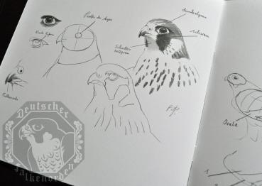 Preview: Malbuch DFO / Pöppelmann